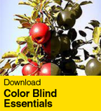 Color Blind Essentials