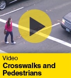 Crosswalks and Pedestrians