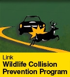 Wildlife Collision Prevention Program